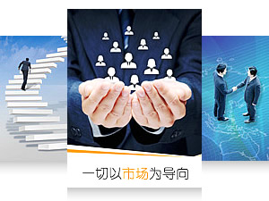 公司优势