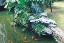 橡胶厂污水处理