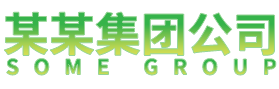 某某某某公司
