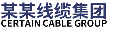 某某某某公司
